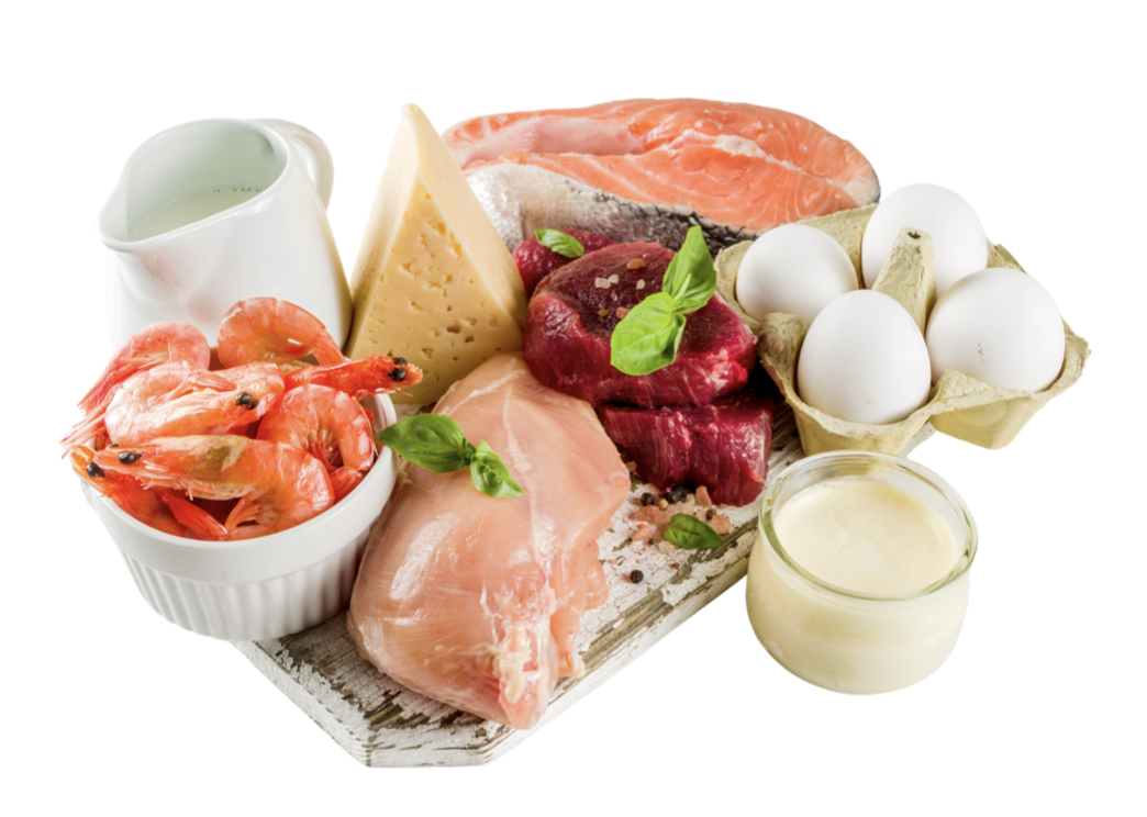 Plant vs Animal Protein: What’s Best for Performance and Recovery?